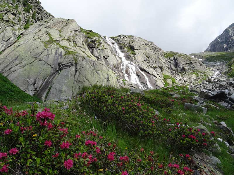 Quelle: http://www.sentres.com/de/bergtour/wollbachspitze